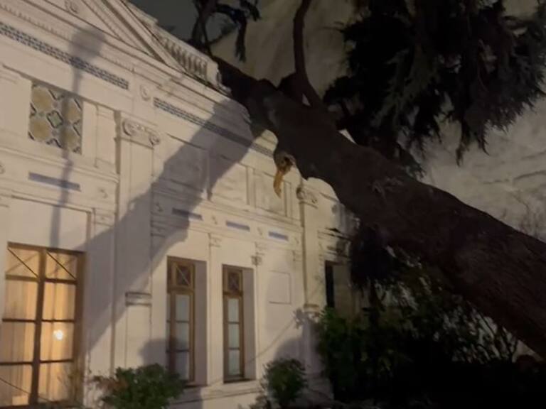 Árbol cae sobre edificación contigua al palacio Cousiño en Santiago