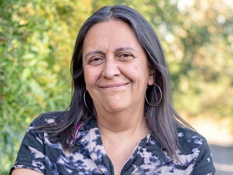 Tras saqueos en Puente Alto: Gobierno acepta renuncia de la delegada presidencial de la Provincia Cordillera