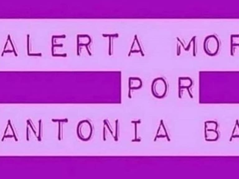 Alerta morada: La campaña en redes sociales para pedir justicia por Antonia Barra