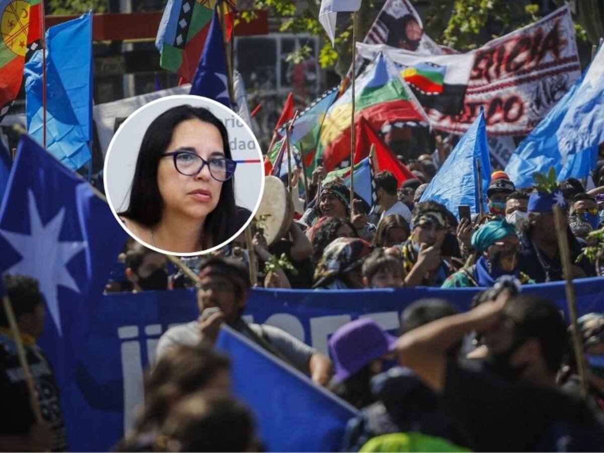 Solicitan renuncia de subdirectora (s) de Conadi tras compartir llamado a manifestarse a favor del vocero de la CAM
