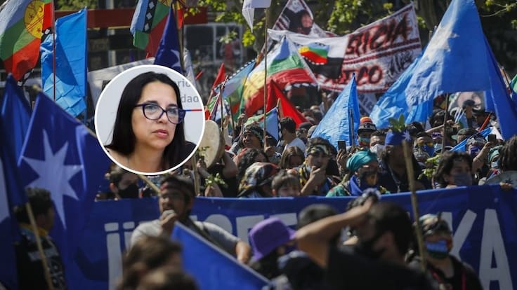 Solicitan renuncia de subdirectora (s) de Conadi tras compartir llamado a manifestarse a favor del vocero de la CAM