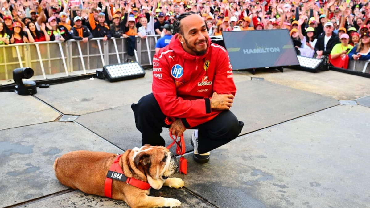 “La decisión más difícil de mi vida”: Lewis Hamilton confirma la muerte de su querida mascota Roscoe