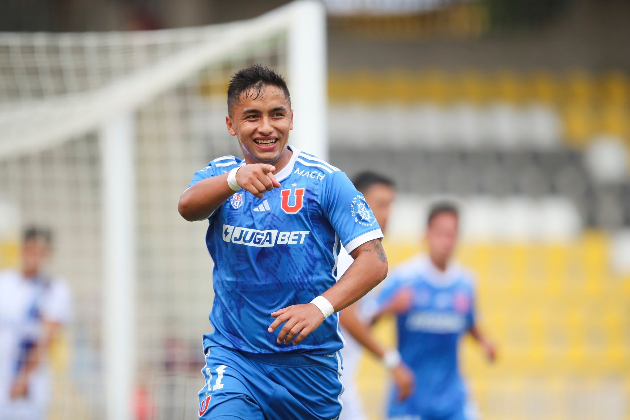 @udechile