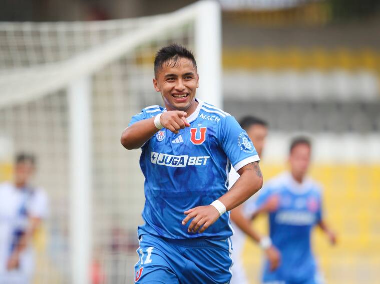 @udechile