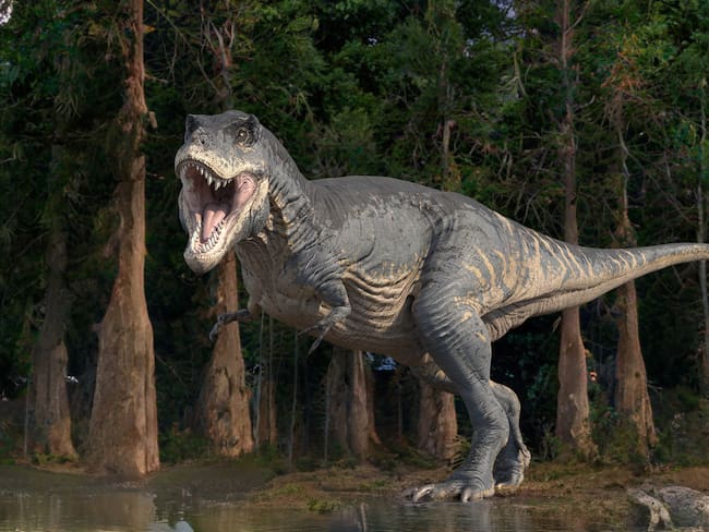 Científicos corrigen datos de antigua investigación y revelan la verdadera inteligencia de los dinosaurios
