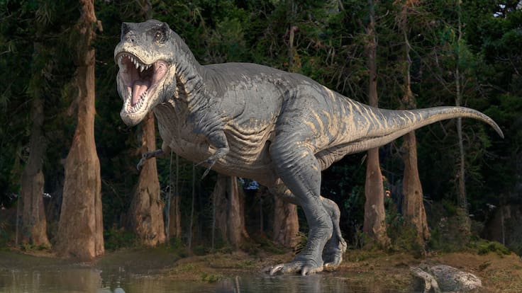 Científicos corrigen datos de antigua investigación y revelan la verdadera inteligencia de los dinosaurios