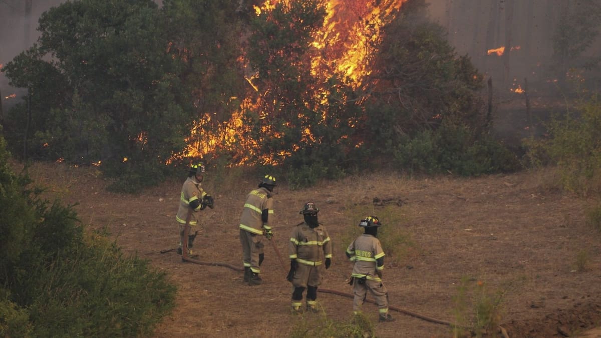 Balance de incendios forestales: damnificados superan las siete mil personas