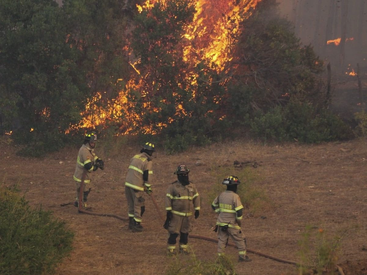 Balance de incendios forestales: damnificados superan las siete mil personas