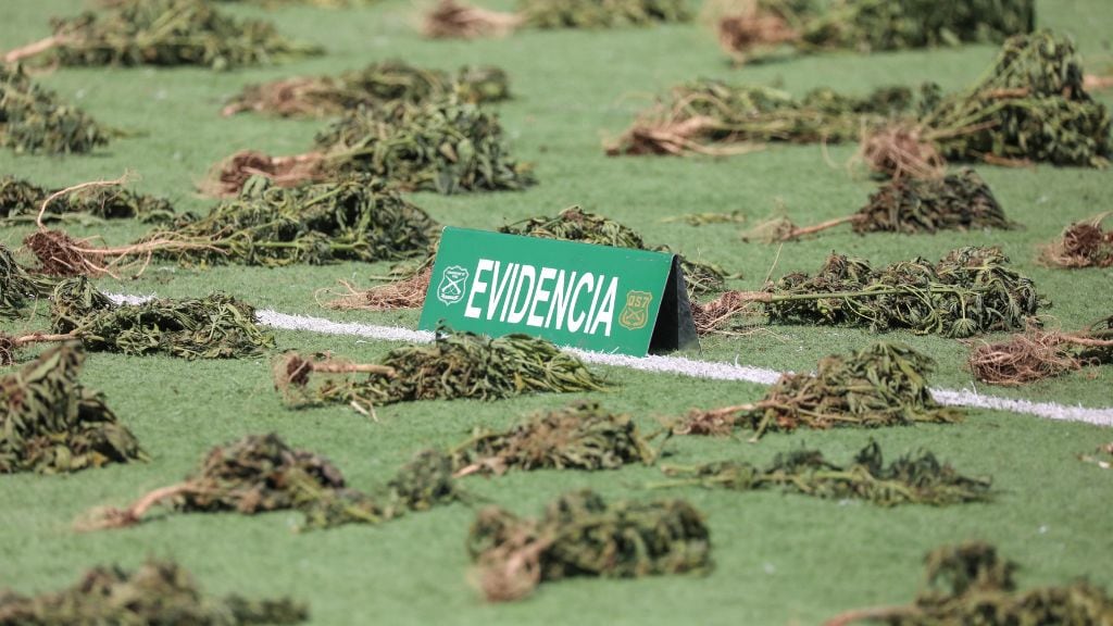 Marihuana, 1024x576 jpg ok