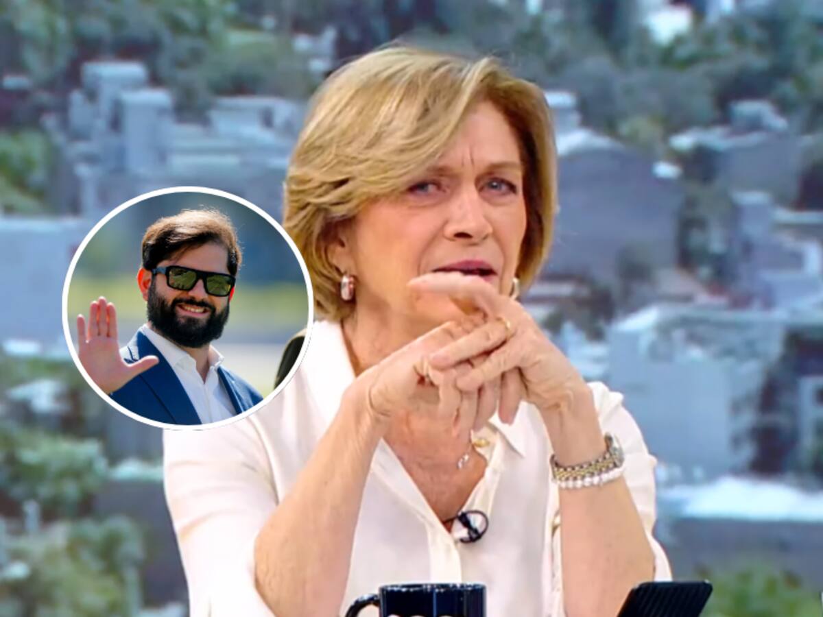 Evelyn Matthei lanza curiosa teoría del Gobierno de Boric: “Él leía poesía, andaba en bicicleta...”