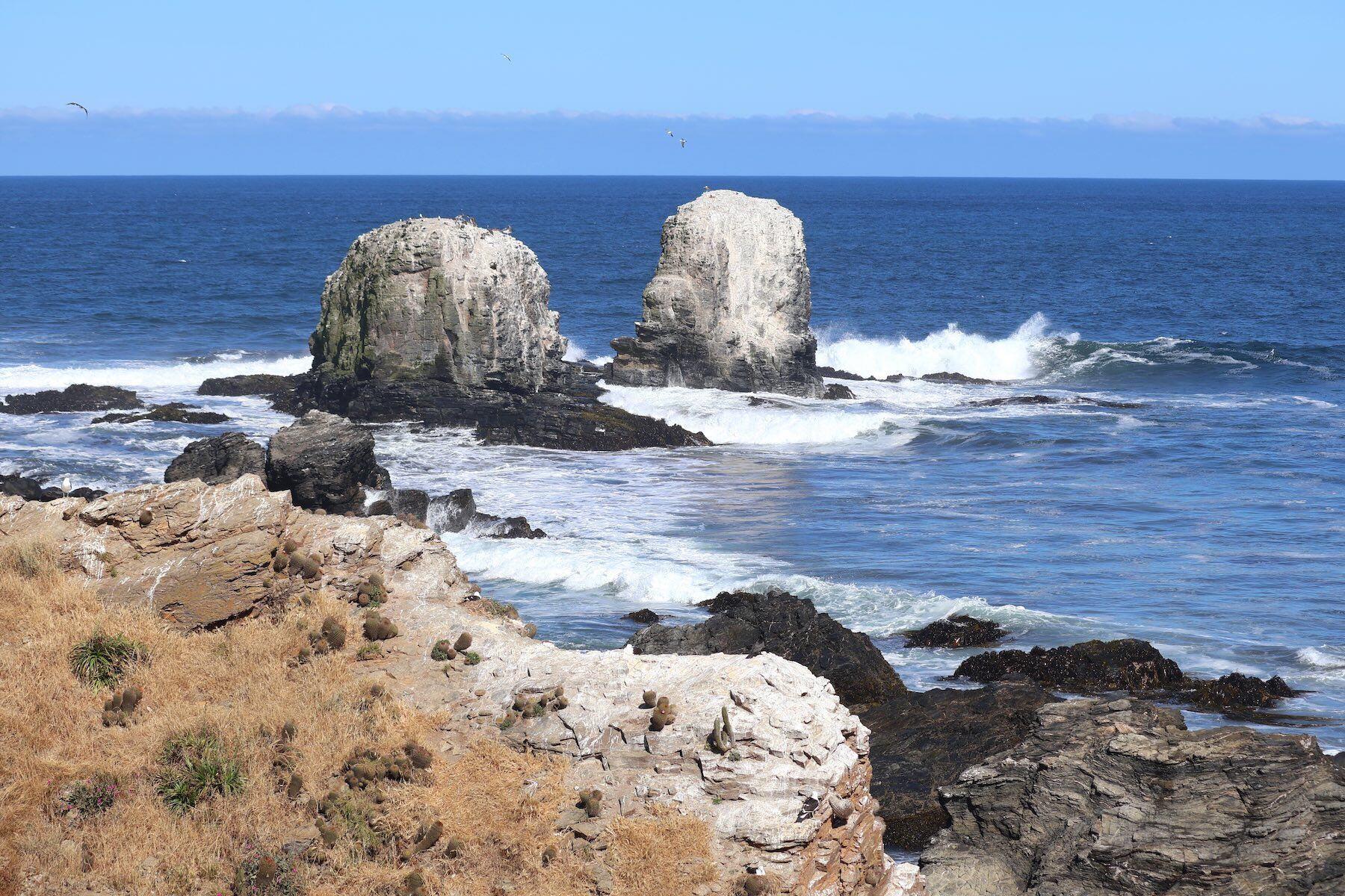 Fallecen dos pescadores y uno permanece desaparecido tras volcamiento de bote en el Maule
