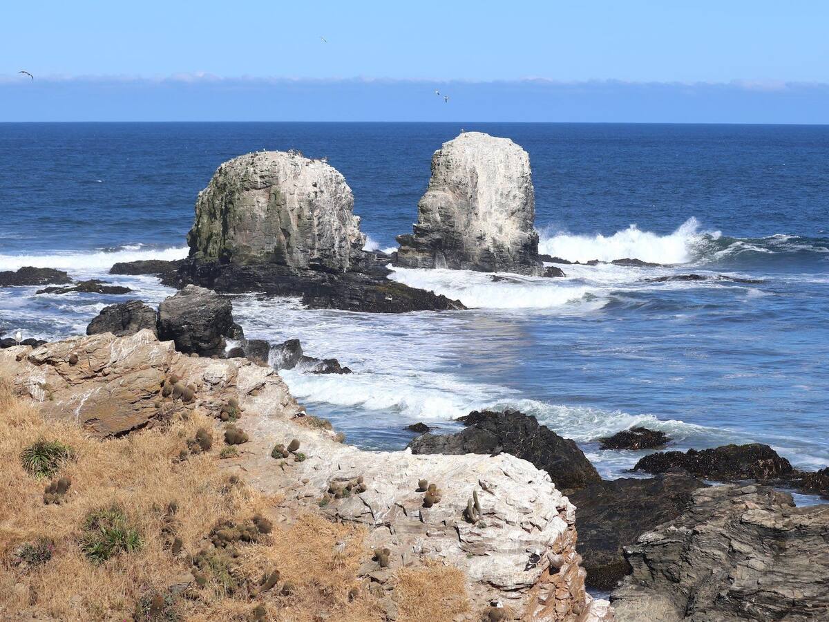 Mueren dos pescadores y un tercero permanece desaparecido tras volcamiento de bote en el Maule