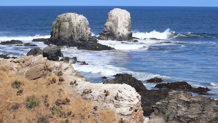 Mueren dos pescadores y un tercero permanece desaparecido tras volcamiento de bote en el Maule