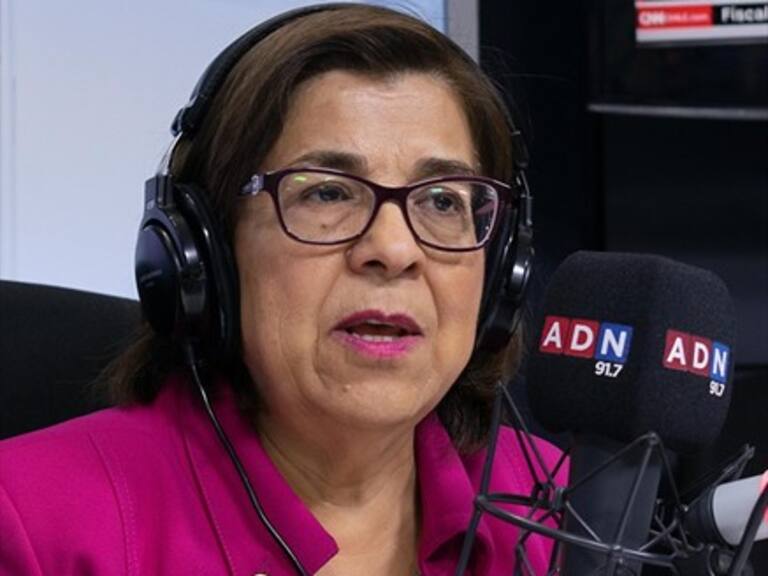 Rosa Oyarce sobre Caso Acuario: «Se habían hecho algunas intervenciones sin autorización sanitaria»