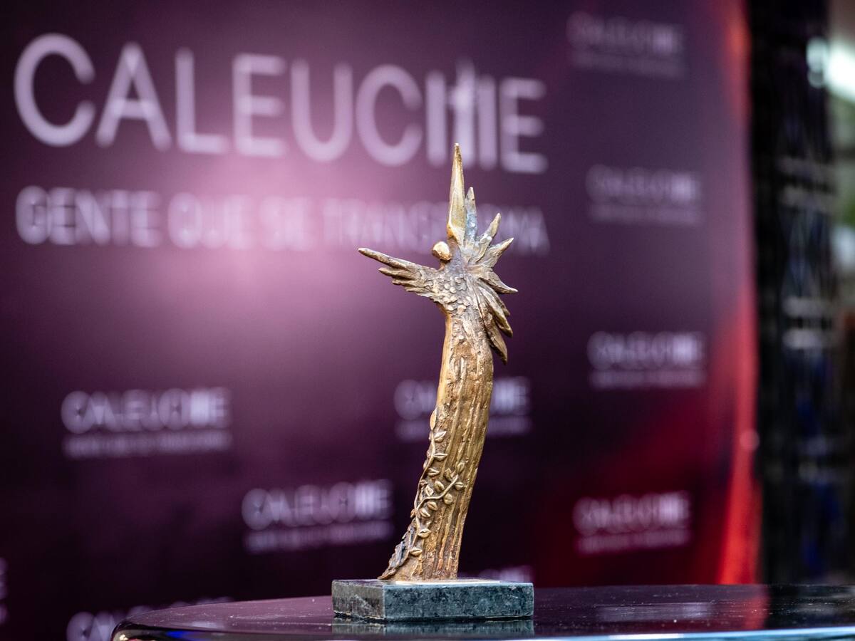 Cuenta regresiva para los Premios Caleuche: horario, dónde ver y nominados 2026