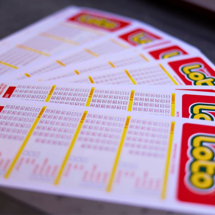 Resultados del Loto: estos fueron los números ganadores del sorteo 5407 del jueves 2 de abril