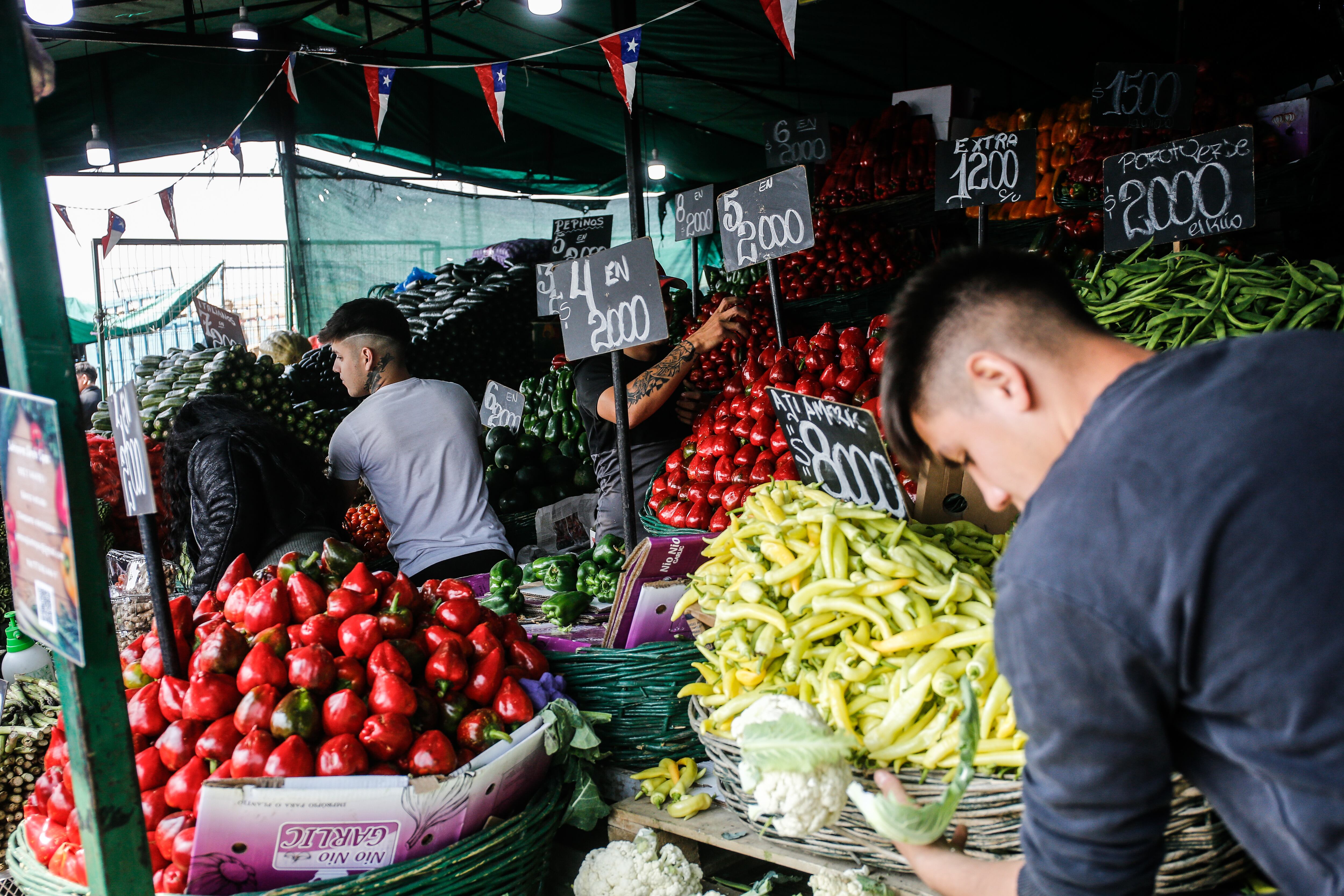 24 DE SEPTIEMBRE DE 2024 / SANTIAGOEl ministro de Agricultura, Esteban Valenzuela, llega al Mercado Mayorista Lo Valledor para reunirse con su directiva y presentar principales alzas y bajas de frutas y verduras, junto con recomendaciones para potenciar el consumo luego de fiestas patrias
FOTO: DIEGO MARTIN/AGENCIAUNO