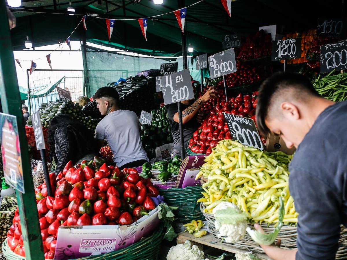 Vocero de la Vega Central revela cuáles son las verduras más baratas de cara a las Fiestas Patrias 2025