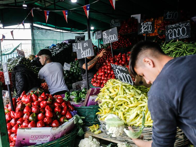24 DE SEPTIEMBRE DE 2024 / SANTIAGO
El ministro de Agricultura, Esteban Valenzuela, llega al Mercado Mayorista Lo Valledor para reunirse con su directiva y presentar principales alzas y bajas de frutas y verduras, junto con recomendaciones para potenciar el consumo luego de fiestas patrias
FOTO: DIEGO MARTIN/AGENCIAUNO