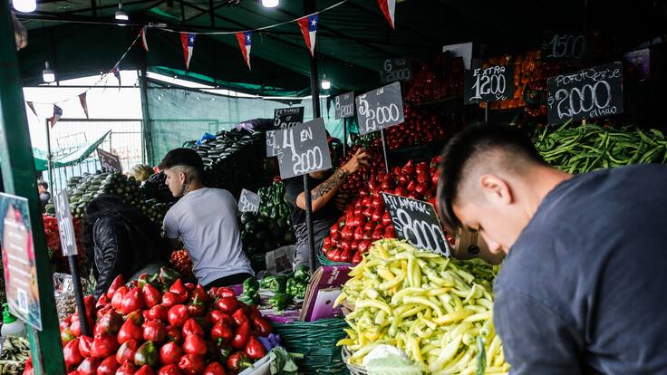 Vocero de la Vega Central revela cuáles son las verduras más baratas de cara a las Fiestas Patrias 2025
