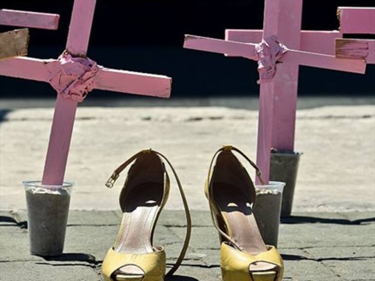 Organizaciones de mujeres contradicen cifras oficiales de femicidios en Chile