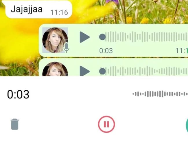 Créditos: Infobae