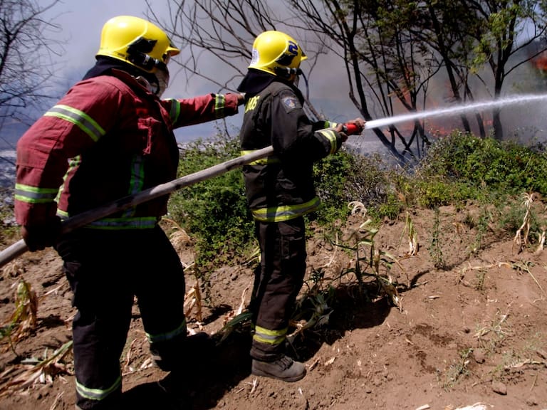 EN VIVO | Incendios forestales: Senapred solicita evacuar sector de Carirriñe en la región de La Araucanía
