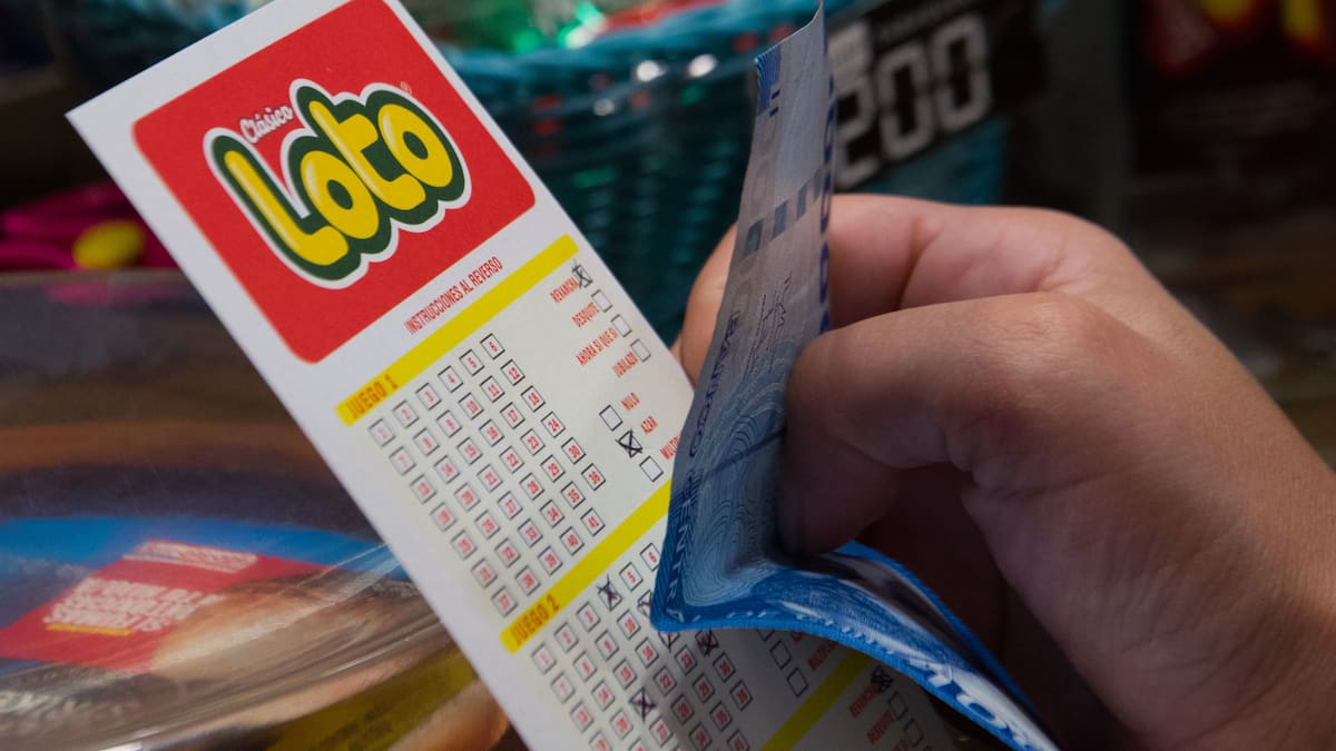 Resultados del Loto: estos fueron los números ganadores del sorteo 5467 del jueves 20 de agosto
