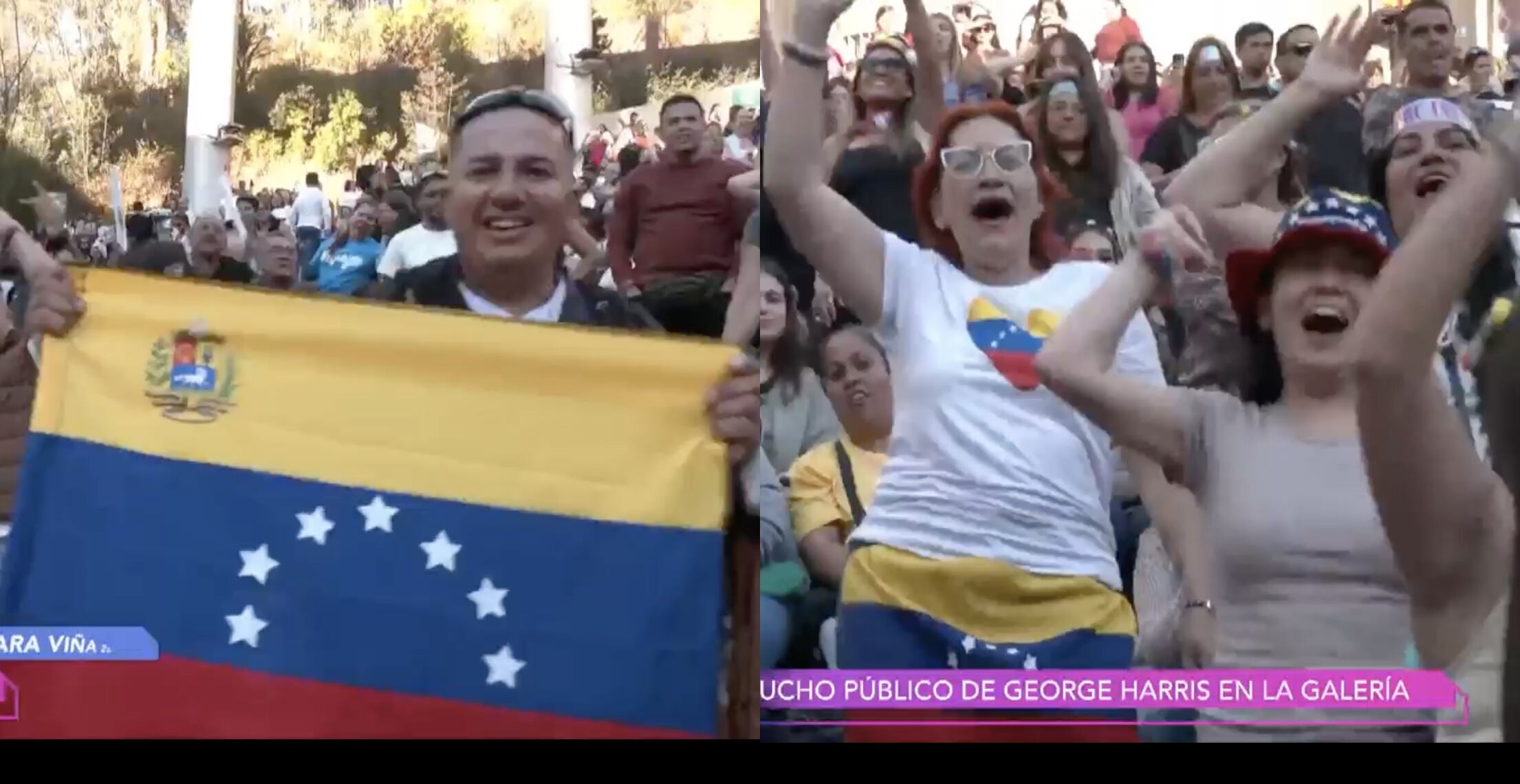 Captura Viva Viña Mega