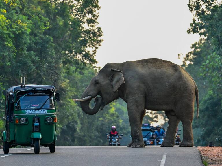 Getty Images | Referencial