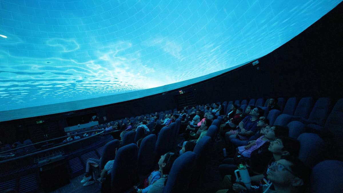Planetario USACH recibe la primavera con talleres gratuitos, microscopios y charlas científicas