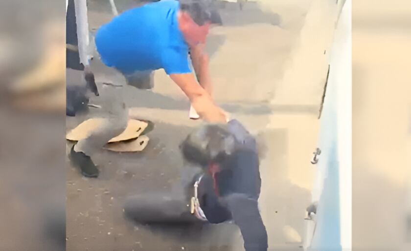 Video muestra violenta agresión de un chofer de micro a estudiante en Temuco