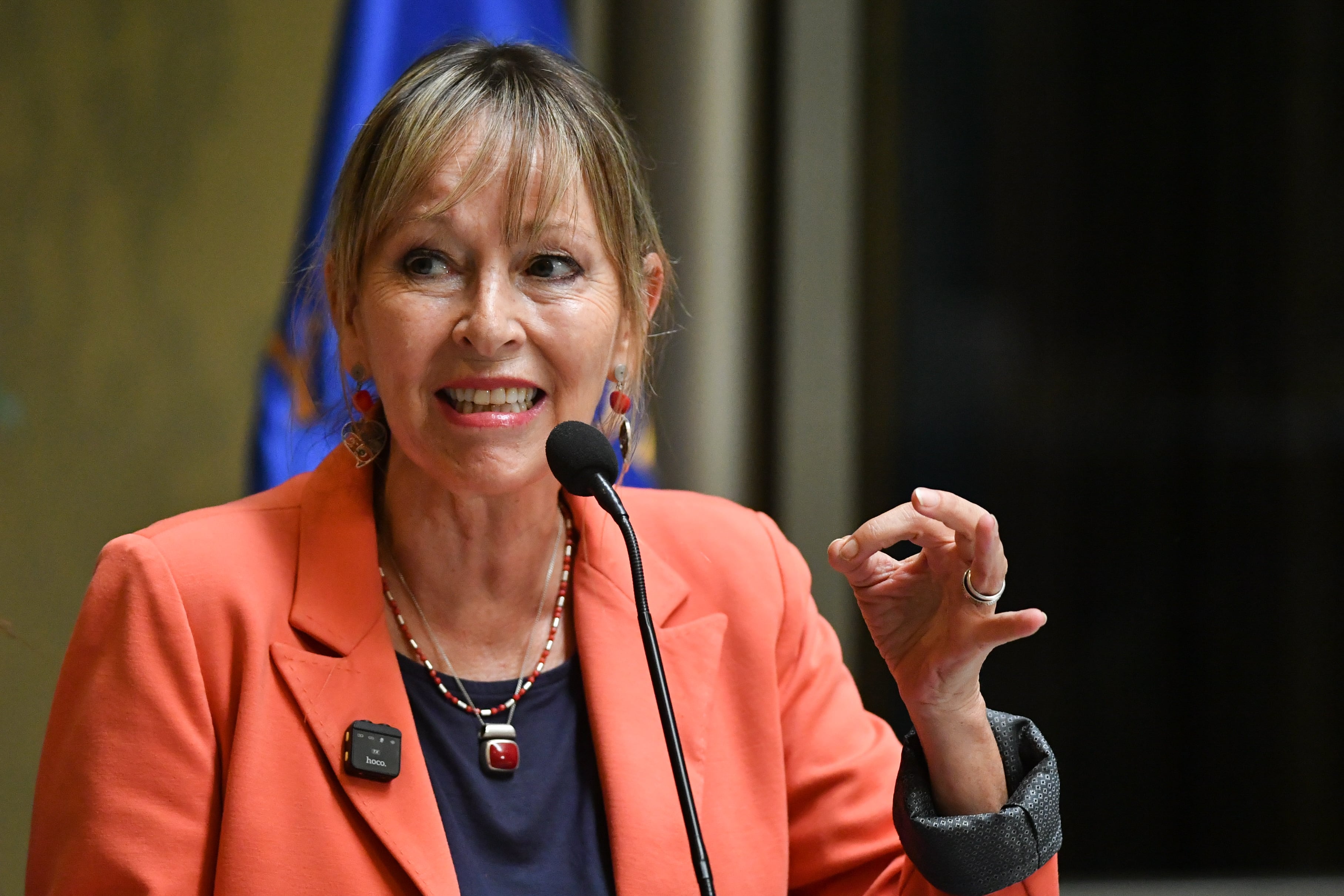 Diputada Ana María Gazmuri