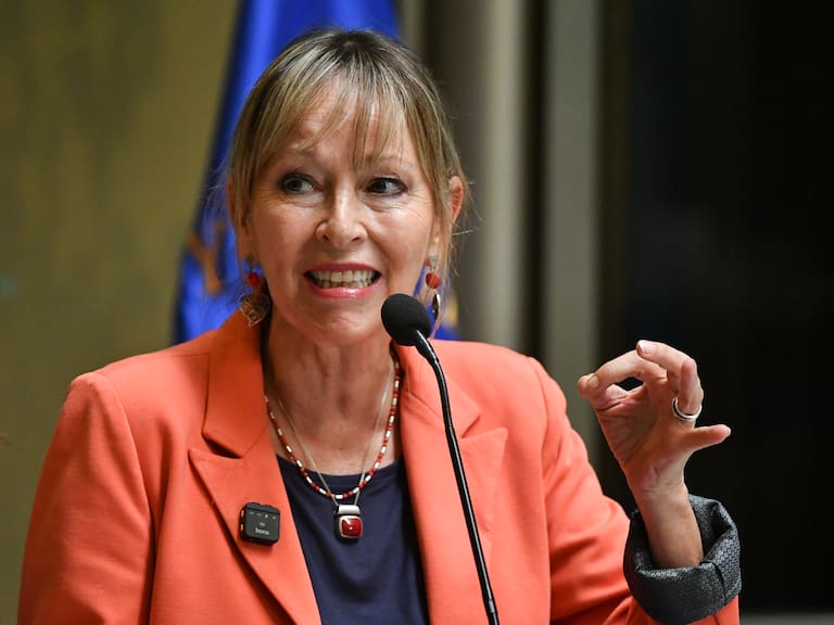 Diputada Ana María Gazmuri