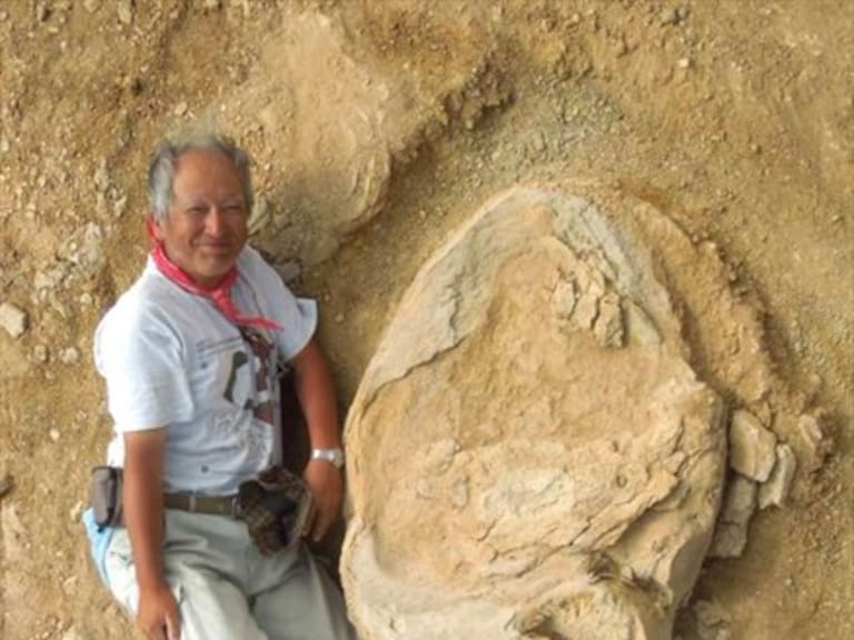 Descubrieron la mayor huella de dinosaurio entre China y Mongolia