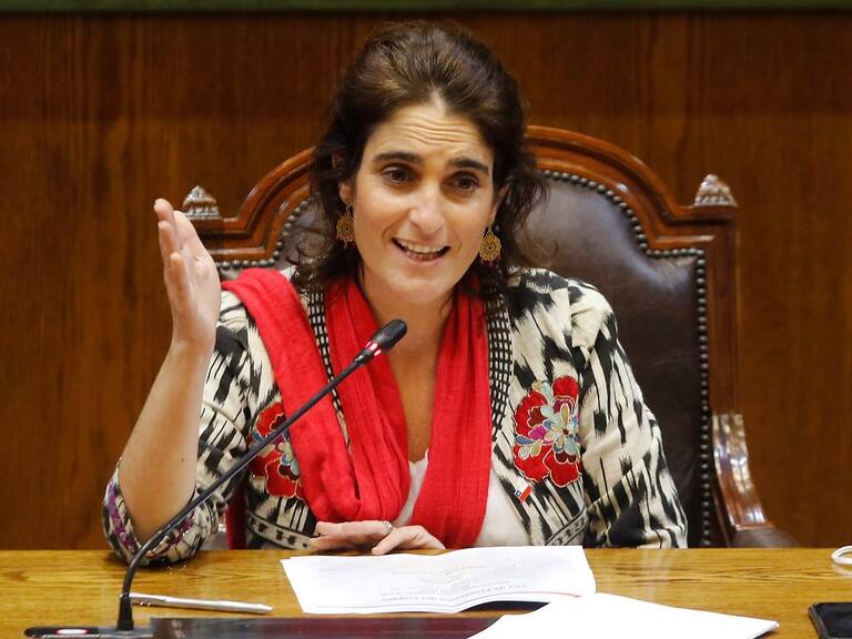 Ministra del Trabajo explicó reparos del Ejecutivo con indicación que impide retiro de utilidades en empresas acogidas a ley de protección del empleo