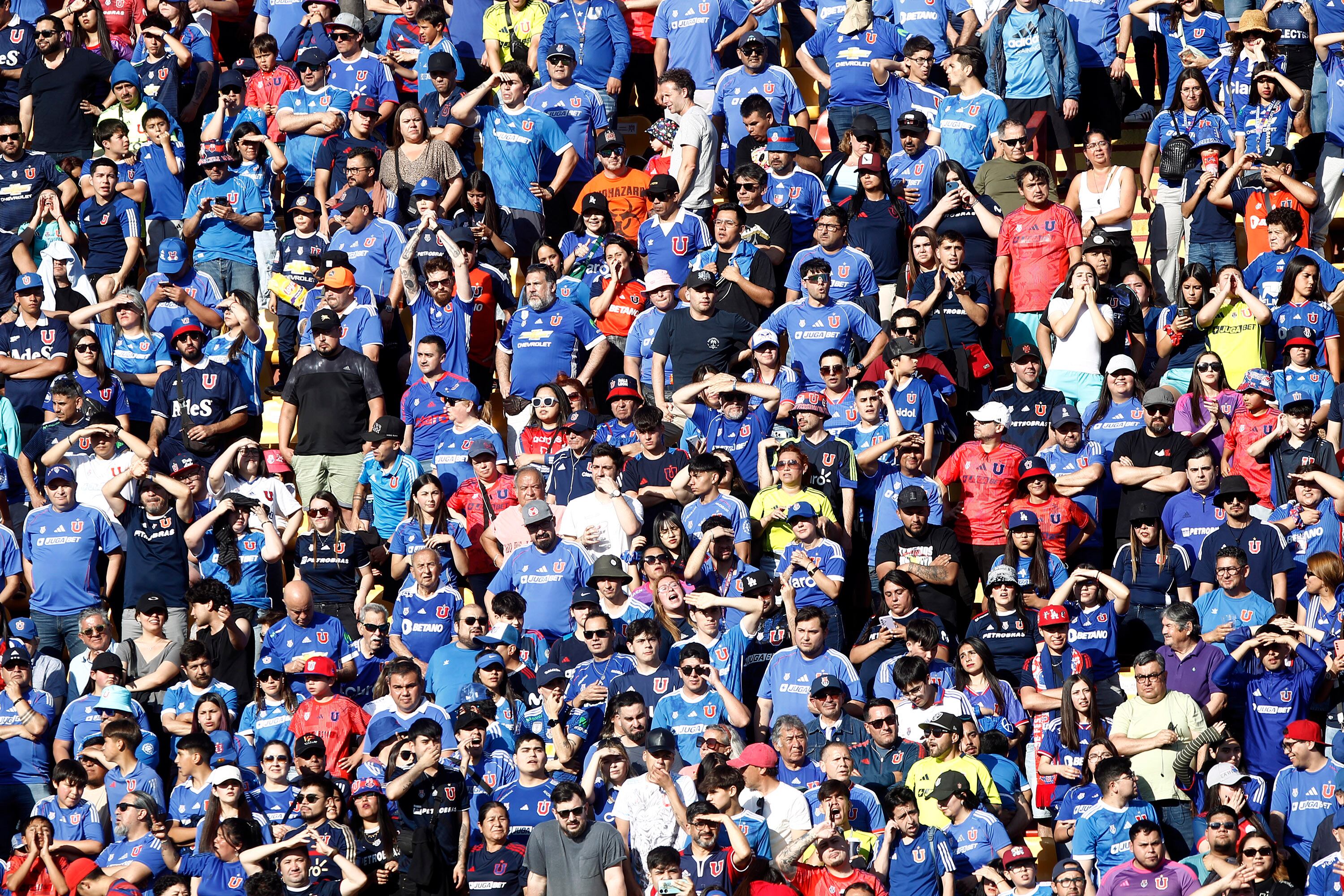 HInchas de la Universidad de Chile