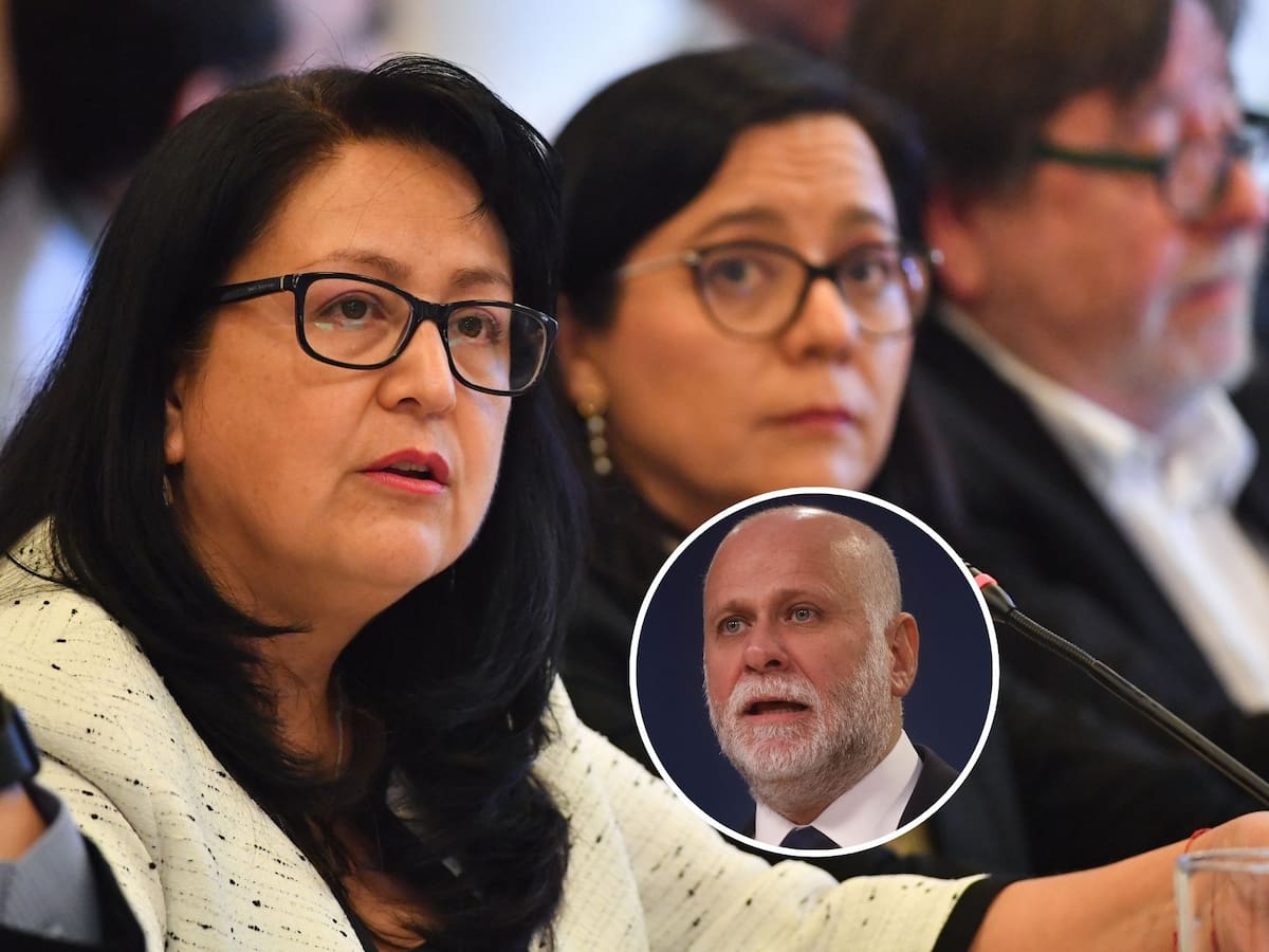 “No pueden ser caprichos”: Gobierno defiende norma de “amarre” tras críticas de Dorothy Pérez