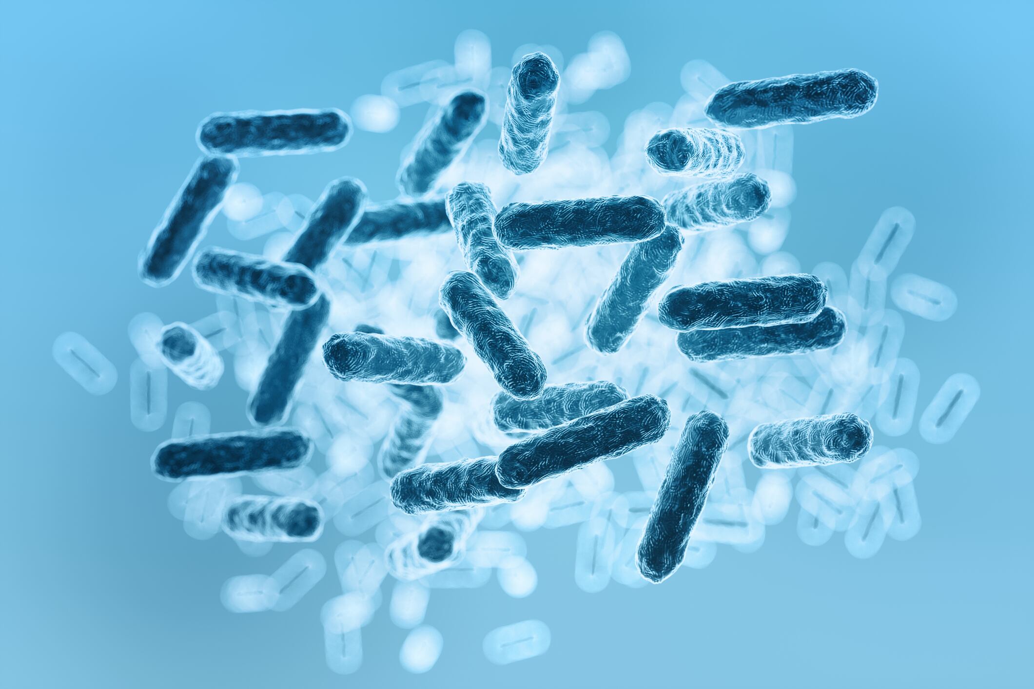 Importante hallazgo en el microbioma humano: el descubrimiento que está sorprendiendo a los científicos