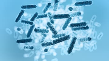 Importante hallazgo en el microbioma humano: el descubrimiento que está sorprendiendo a los científicos