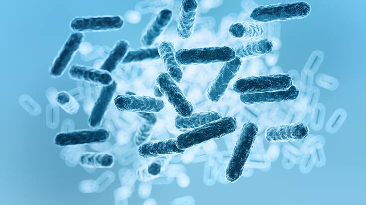 Importante hallazgo en el microbioma humano: el descubrimiento que está sorprendiendo a los científicos