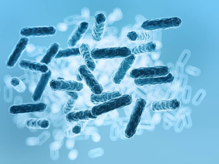 Importante hallazgo en el microbioma humano: el descubrimiento que está sorprendiendo a los científicos