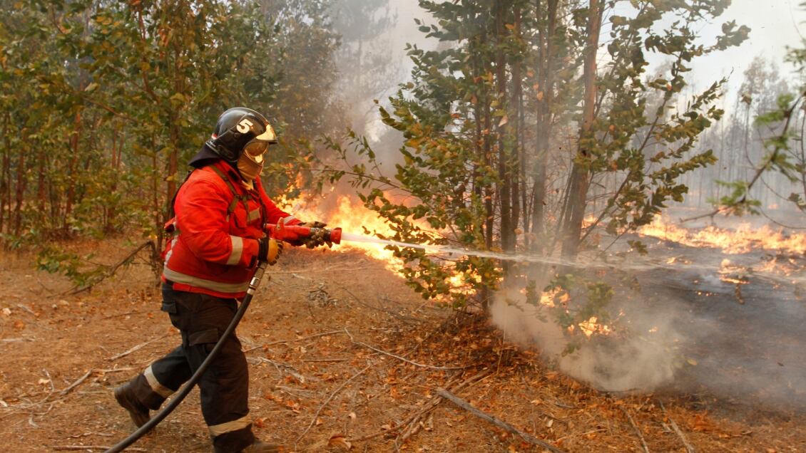 Incendios forestales en Chile.