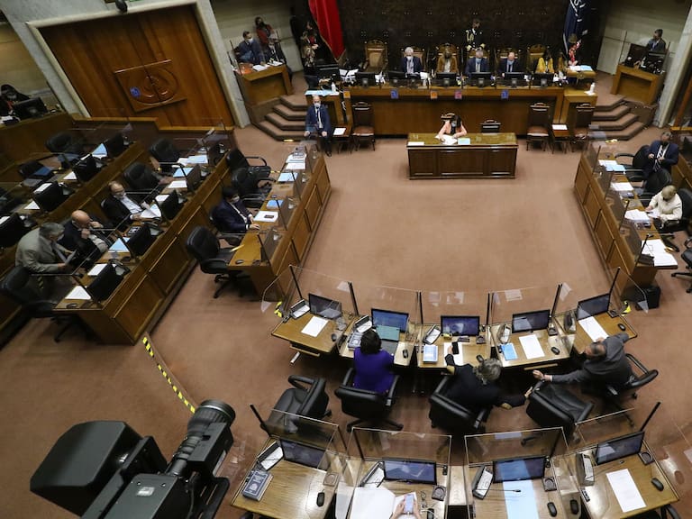 «Ley Celis»: Senado aprobó modificación de normas para inscripción de candidaturas impugnadas por Servel