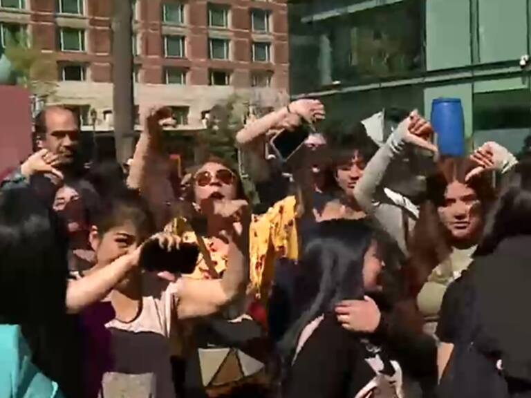 Caos, empujones y locura desatada: Registros muestran el desorden por conseguir una flor en el Día del Tulipán