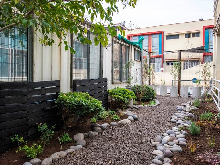 Fundación crea «jardines sanadores» para hospitales en medio de la pandemia: «En vez de un patio abandonado y sucio, ahora hay un jardín»
