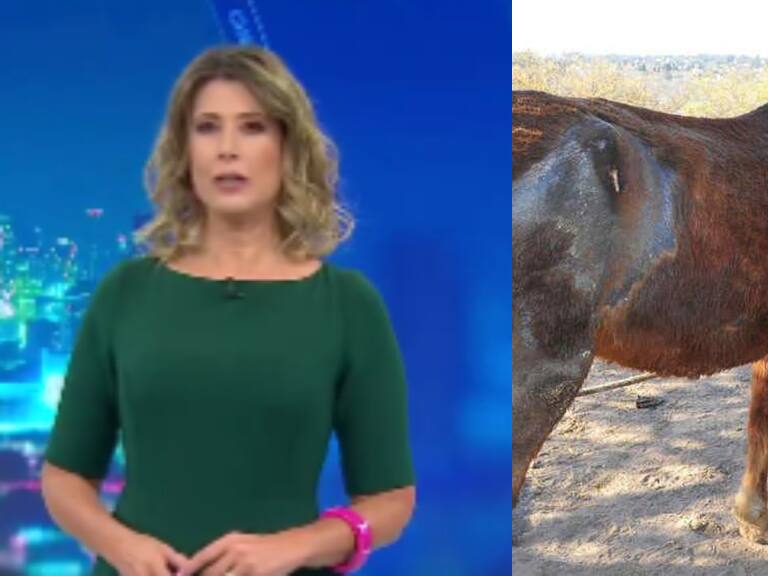 Imagen antigua y falsa: CHV Noticias aclara uso de fotografía enviada por adherente del Rechazo