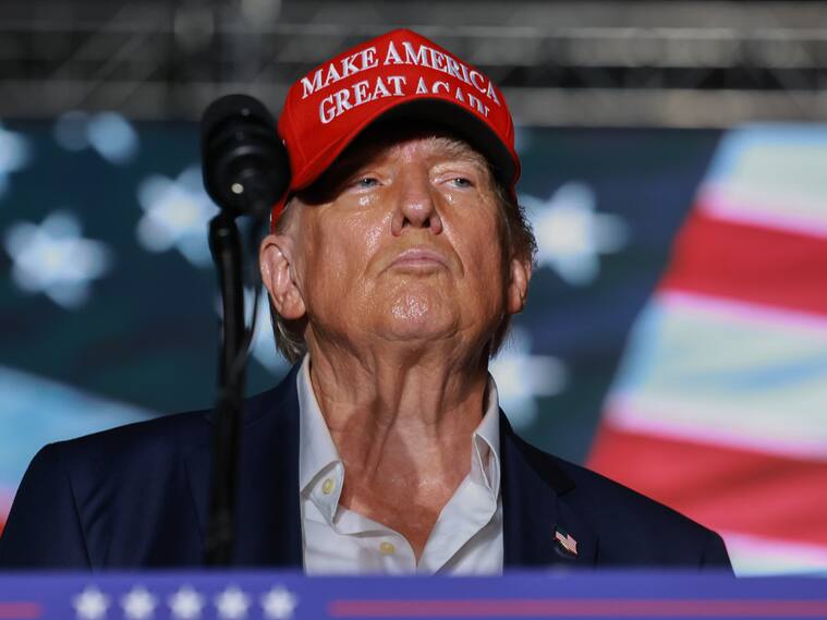 Donald Trump / Getty Images