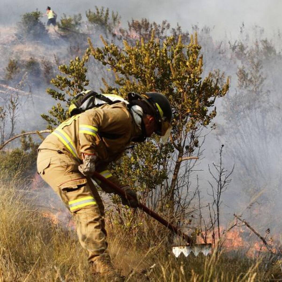 Fuego en Vichuquén duplica superficie afectada y mantiene Alerta Roja