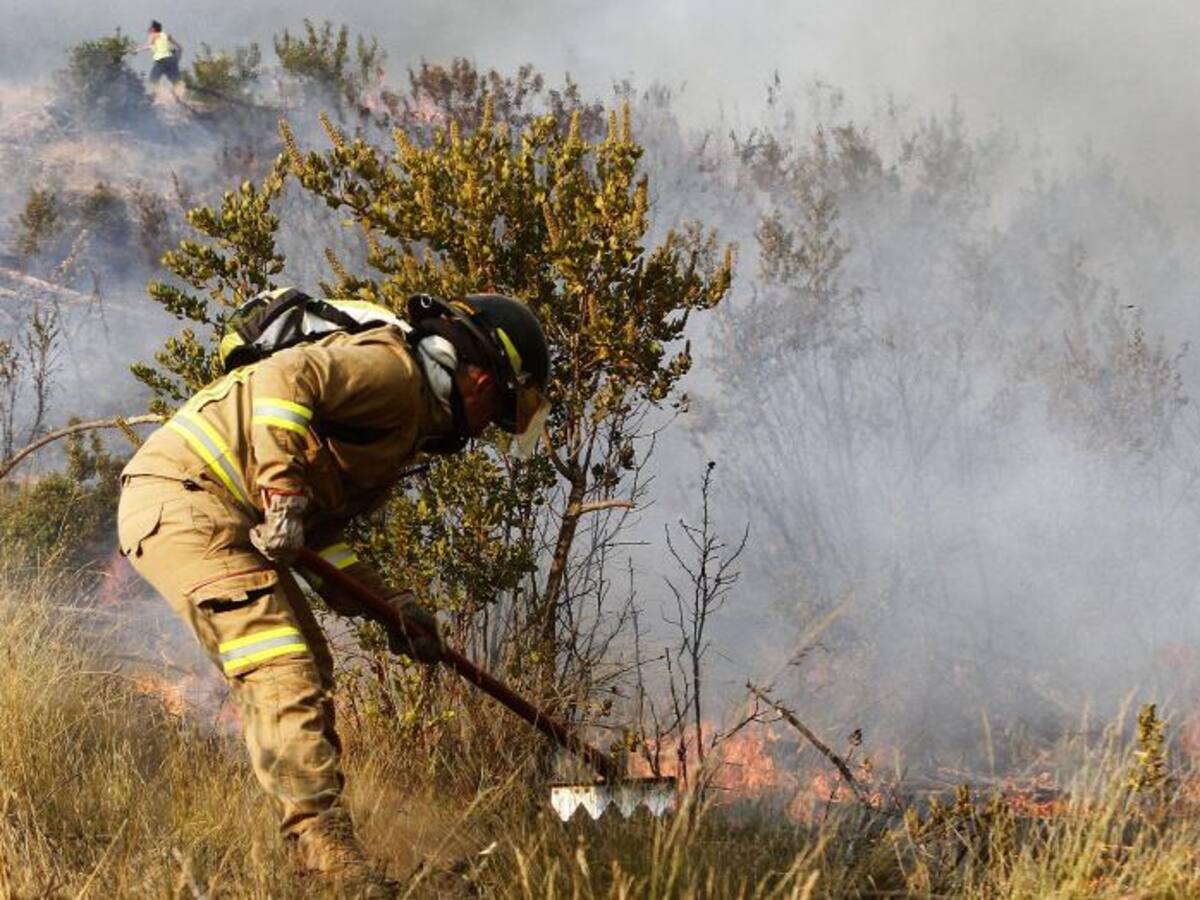 Alerta roja en San Fernando por incendio forestal que avanza con intensidad